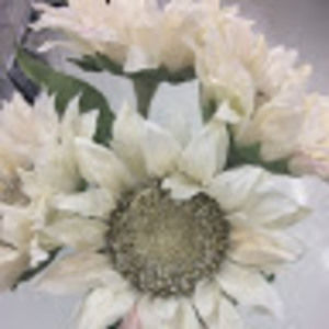 Meet your Posher, Shantelle